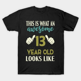 This is What an Awesome 13 Year Old Looks Like T-Shirt